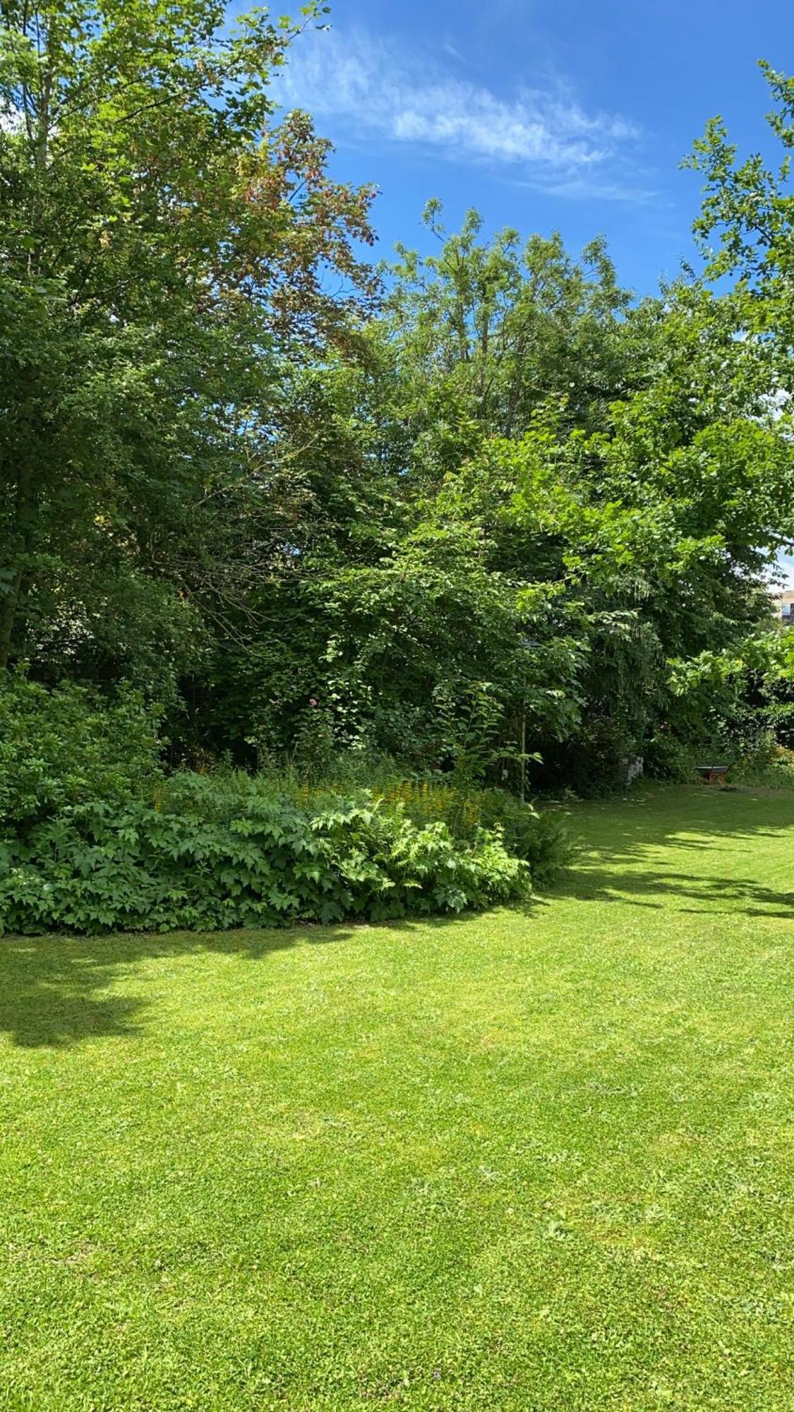 La Villa Barbieux 루베 외부 사진
